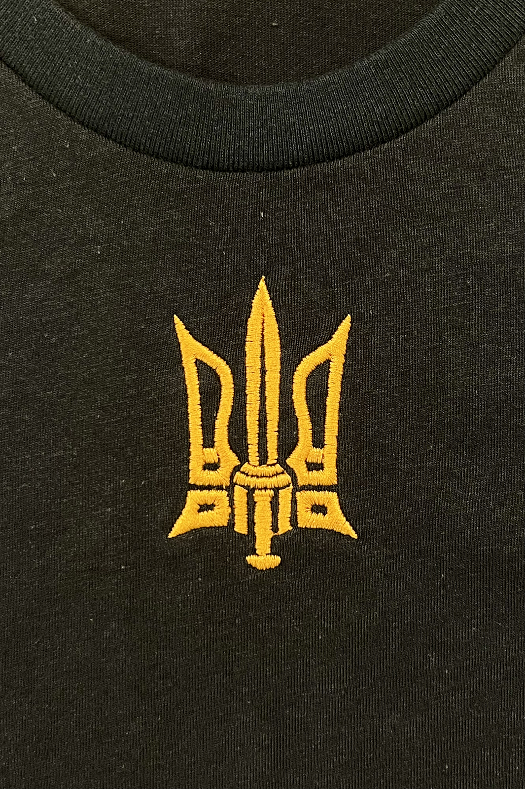 Kids' embroidered sweatshirt "Tryzub"